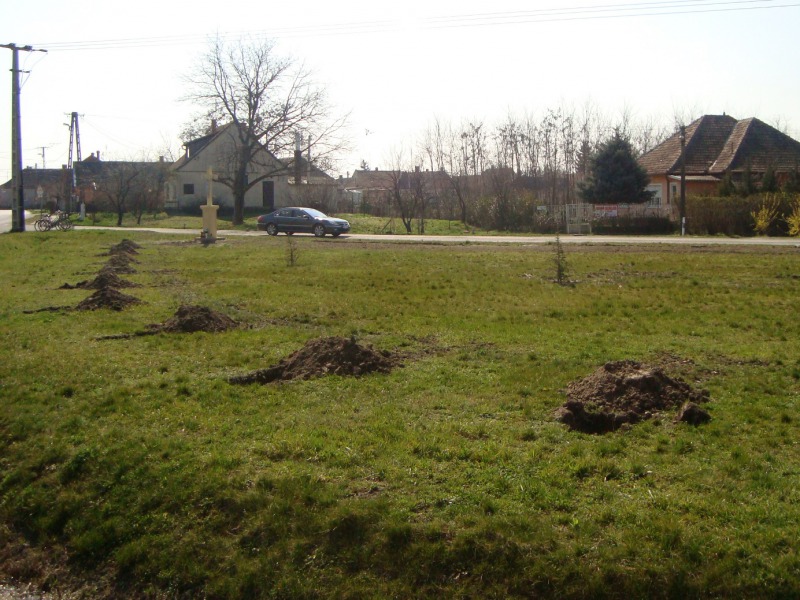 Vasárnap ünneplik a születések parkja átadását Foktőn