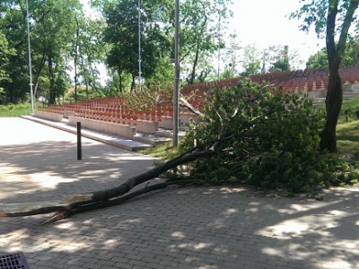 Veszélyes hely az Érsekkert – A vihar döntött: induljon a parkrekonstrukció!