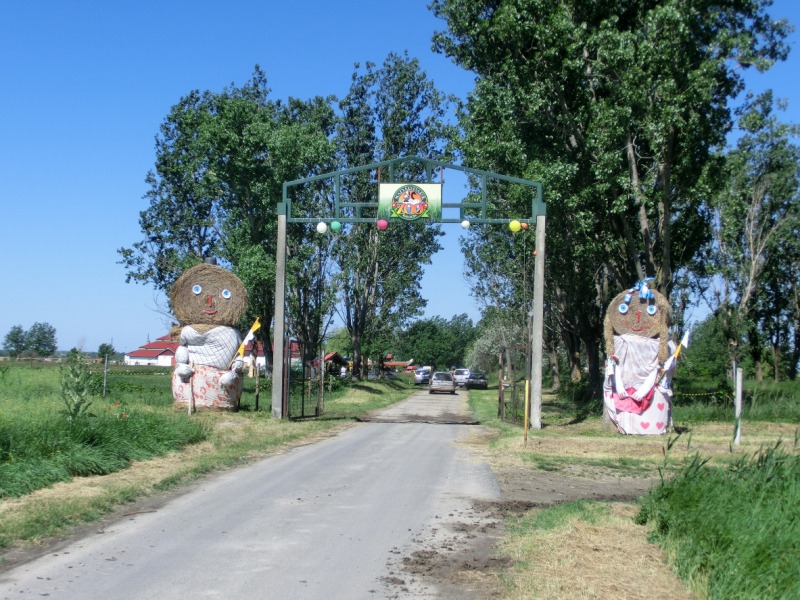 A Vízimadárpark hattyúdala – A befektetők szándékán áll a park sorsa