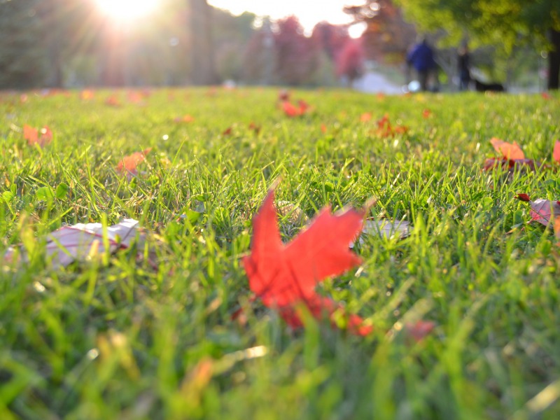 Napsütéses meleg idő várható szeptember utolsó napjaiban