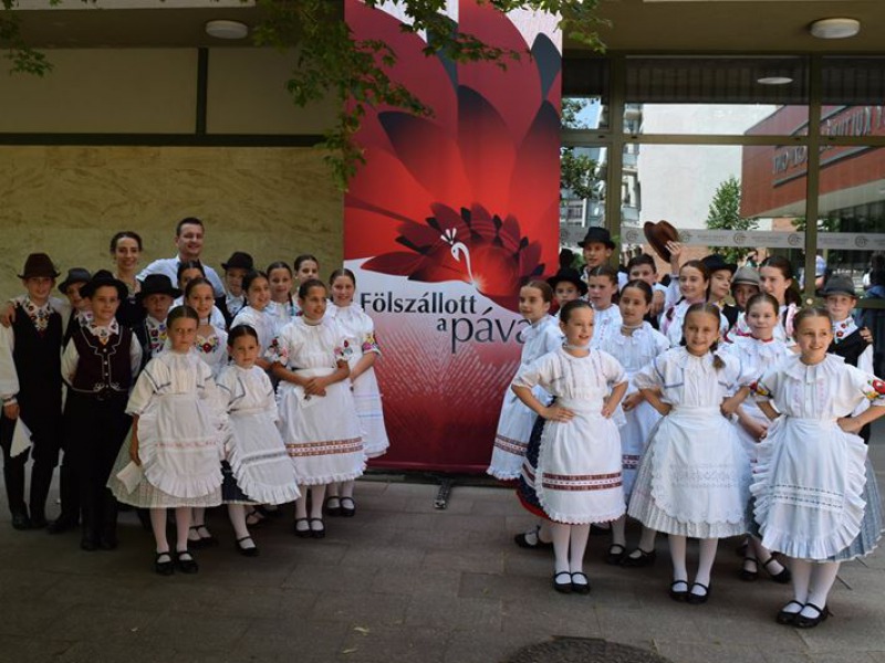 Dusnoki tánccsoportért izgulhatunk a Fölszállott a páva új évadjában!