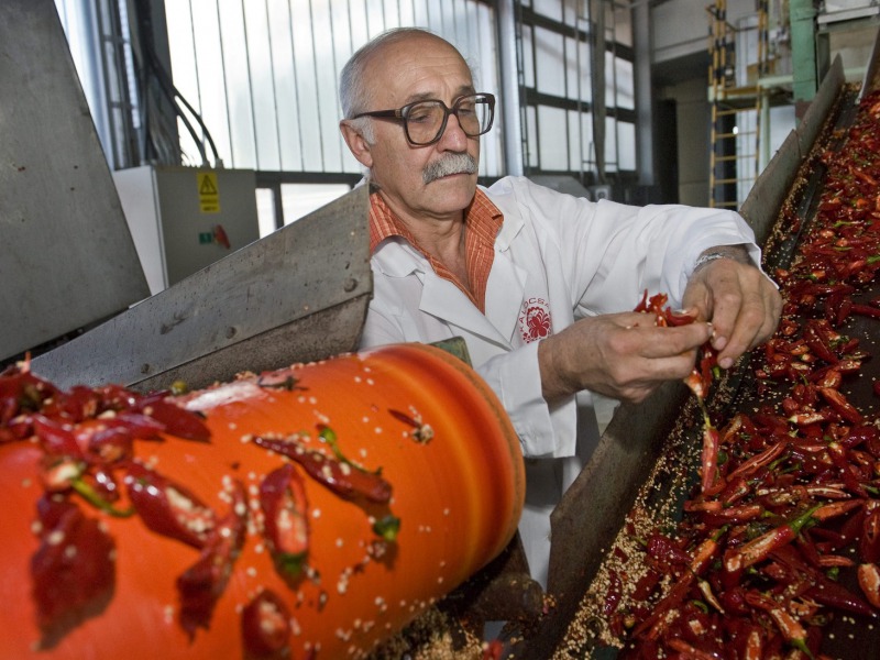 Termelés- és létszámbővítés a Fűszerpaprika Zrt.-nél – indul a 270 milliós fejlesztés