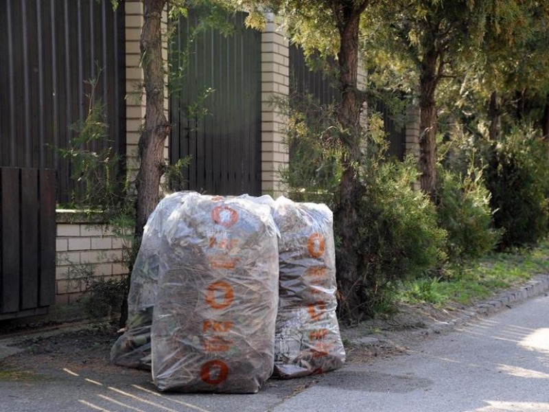 Továbbra is ingyen szállítják a zöldhulladékot Kalocsán – Egy évre előre megvan, hogy mikor