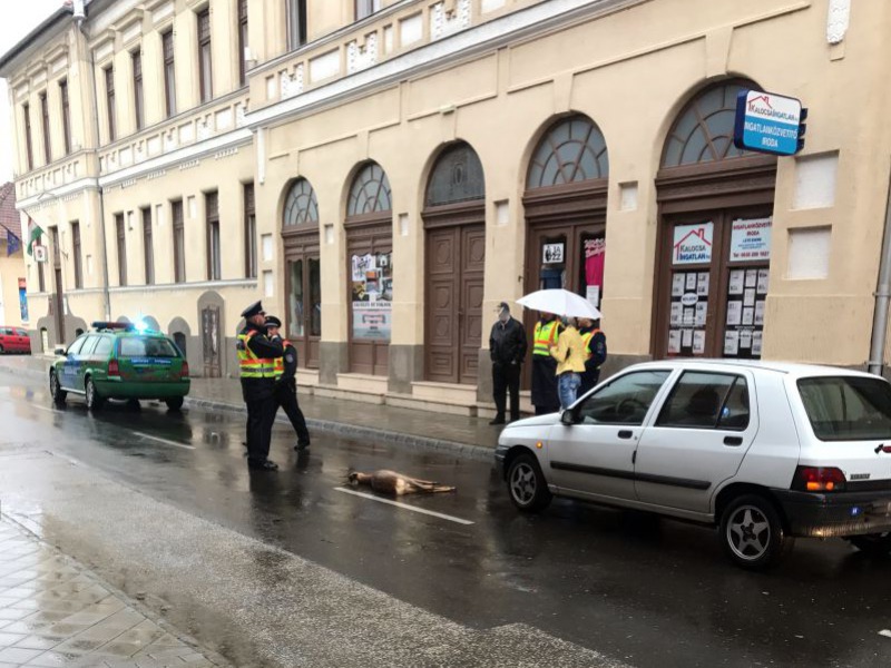 Van valami a levegőben – A negatív csengésű hírek ütöttek nagyobbat a héten