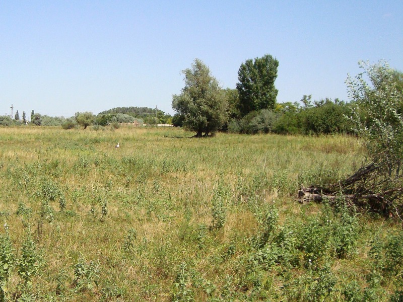 Megszűnnek az öregcsertői belvízgondok – felszámolják az út menti lápot