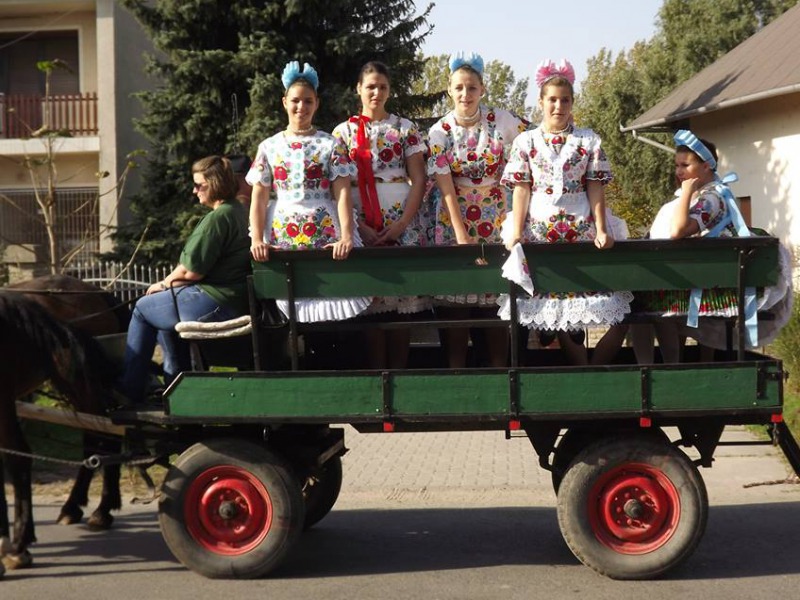 II. Őszi Arartófesztivál és Bál lesz Homokmégyen