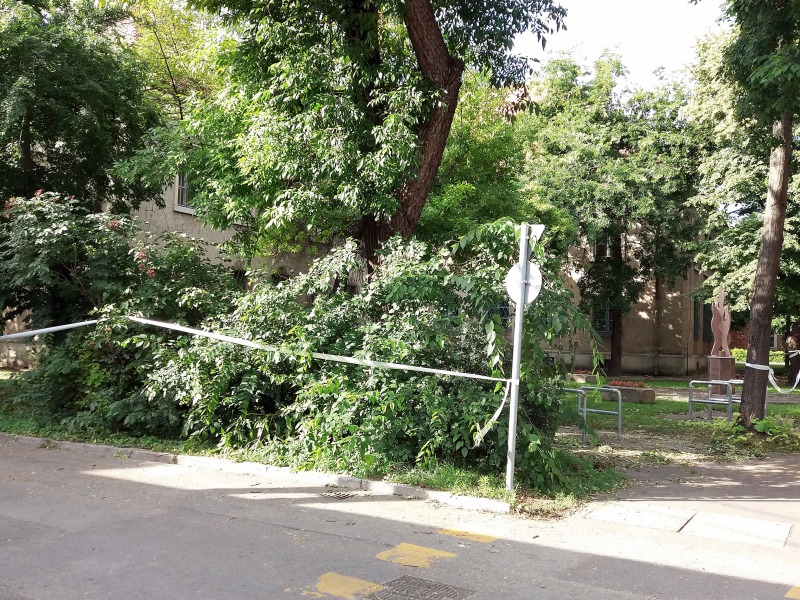 Tájkép csata után – Még ma is takarítanak a pénteki vihar után