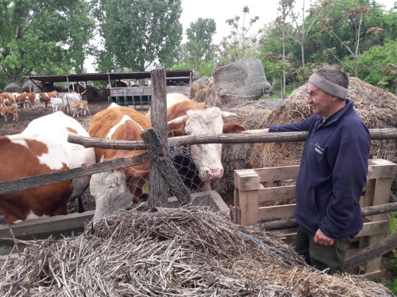 Több mint napi kétezer liter tejet termel a Szigeti farm