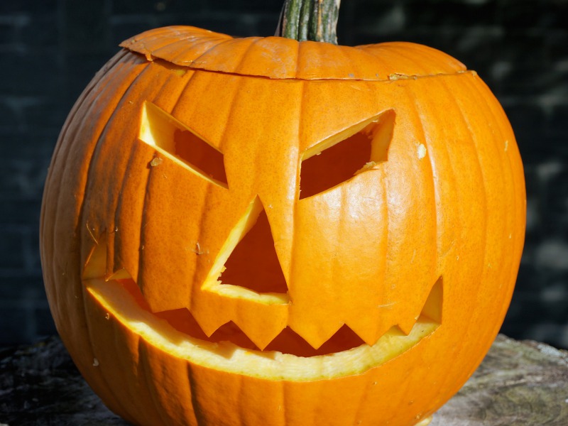 Mérgező is lehet a dísztök – Halloween közeledtével figyelmeztet a NÉBIH