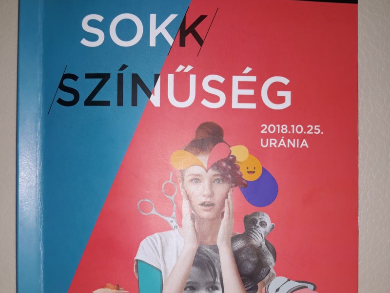 Sok(k)színűség a Metropolitan Egyetem szervezésében – Számos kalocsai és környékbeli  hallgató a TEDx budapesti  előadásain