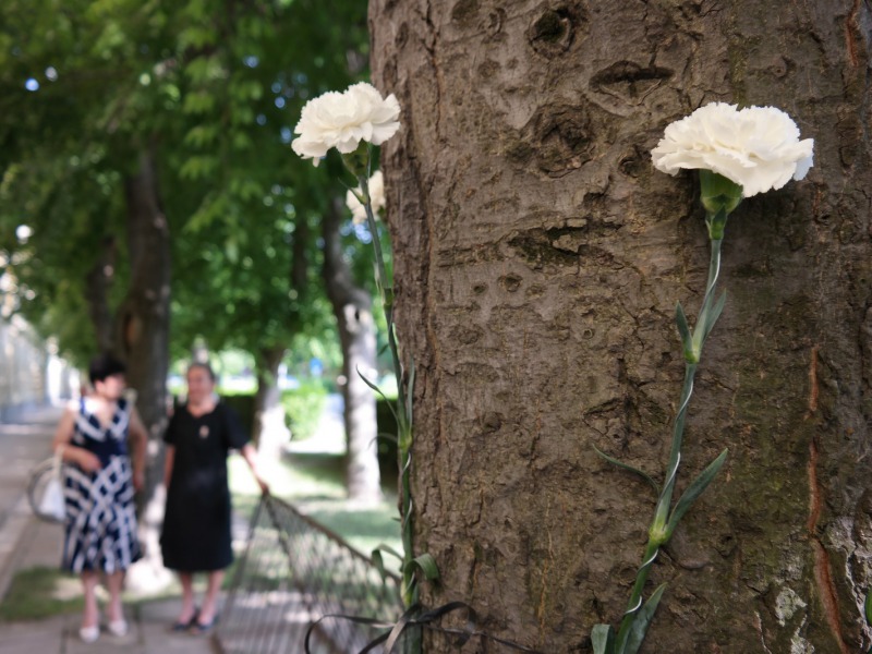 A főutcai fásítási koncepció – Előzetes a tervismertető fórumra 