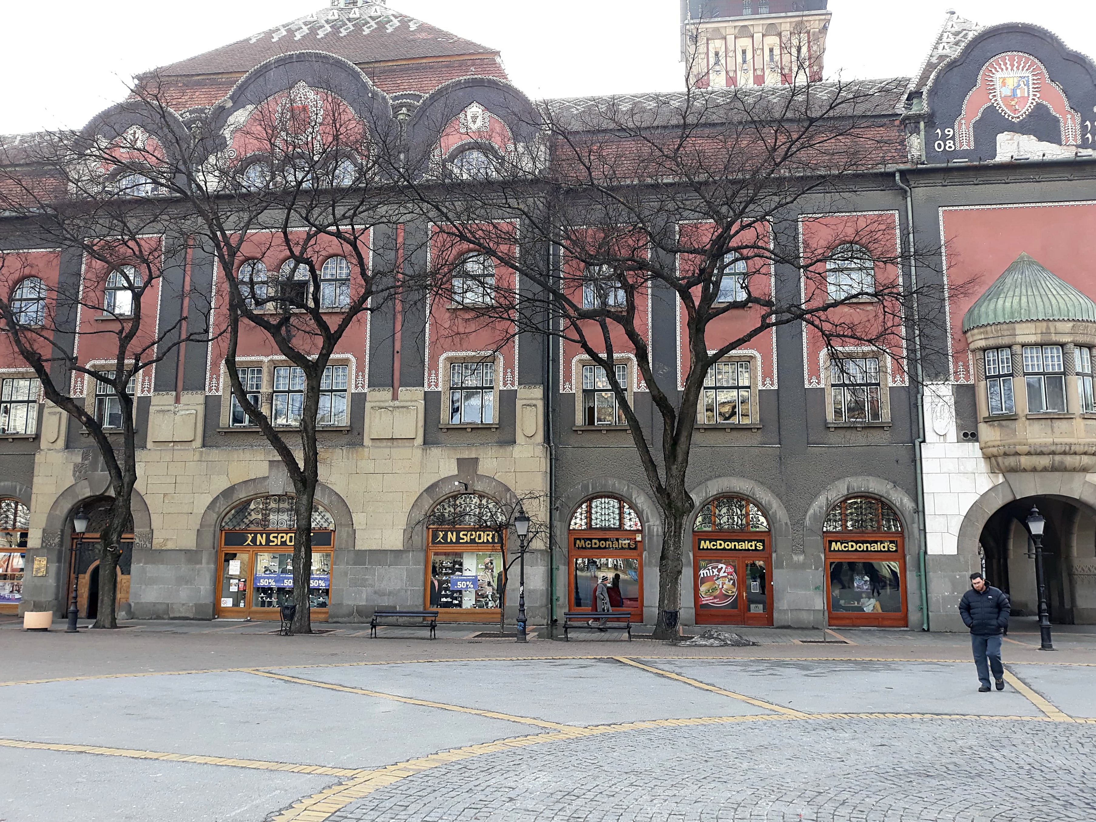 Kalocsával szemben Szabadkán az ostorfák kivágása bűn lenne – „Nálunk nem csak a népszerűségét, de testrészét is veszítené!”