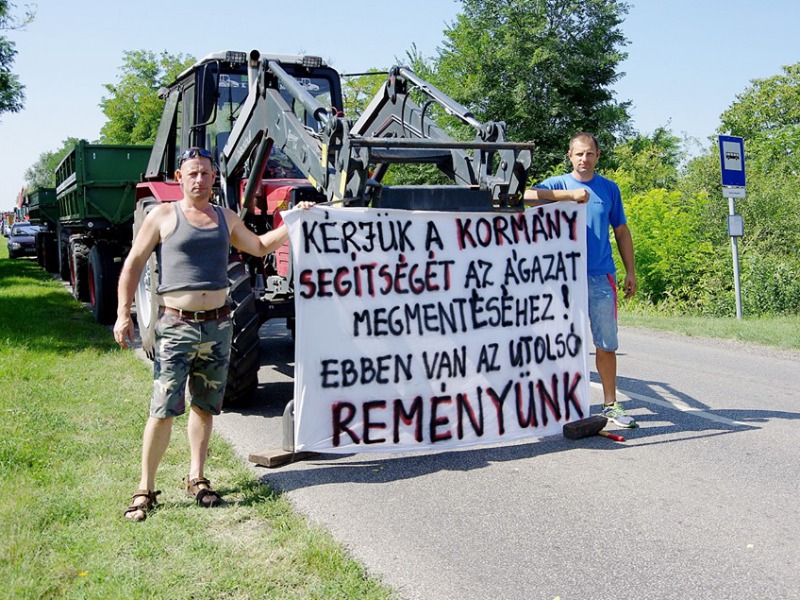 Augusztus végén kezdődik a szőlőszüret – Hatalmas forgalomlassító demonstráció a tavalyit felező felvásárlási árak miatt 