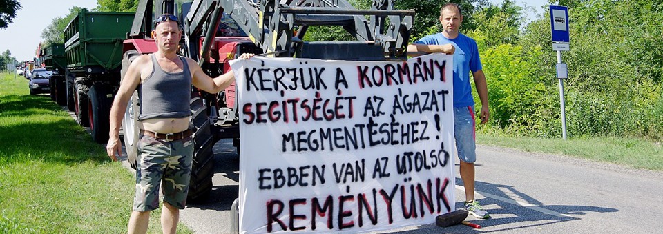 Augusztus végén kezdődik a szőlőszüret – Hatalmas forgalomlassító demonstráció a tavalyit felező felvásárlási árak miatt 