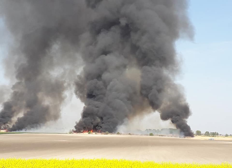 Öt hektáron égett a nádas Vörösszállásnál pénteken – Emberélet, lakóépület nem volt veszélyben, de jelentős ökológiai kár keletkezett