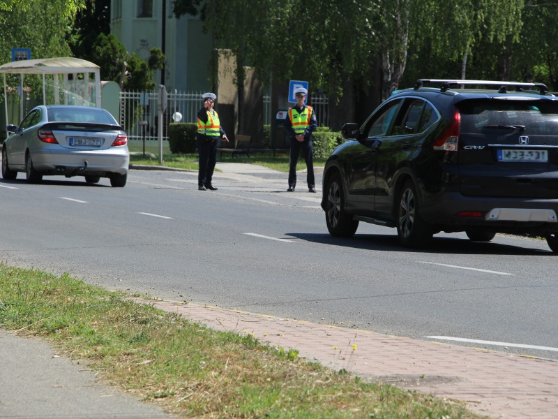 ZEBRA! – Három napig ezen lovagoltak a rendőrök