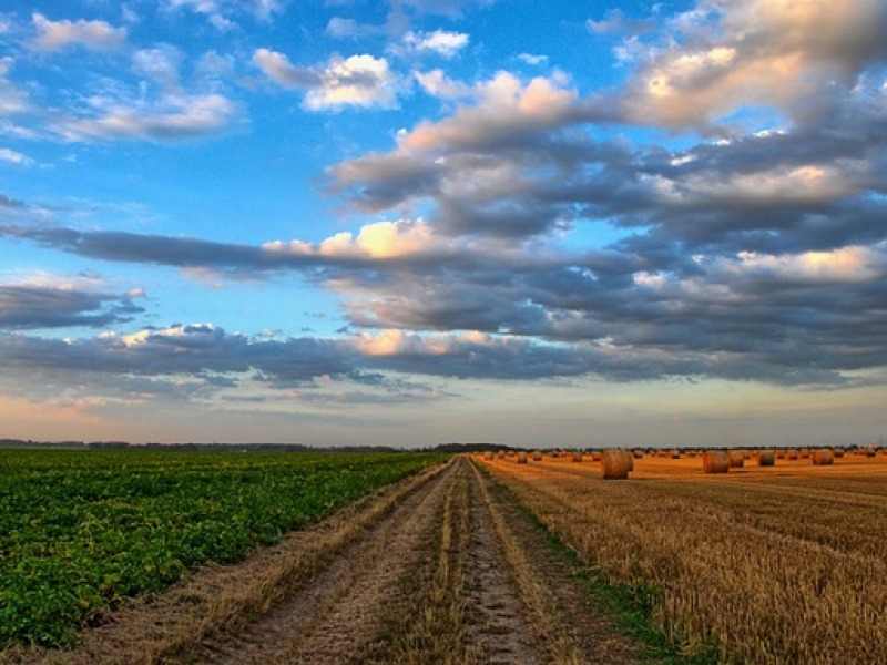 Meghosszabbíthatják az agrár-környezetgazdálkodási kifizetés (AKG15) és az ökológiai gazdálkodásra áttérés, fenntartás (ÖKO15) időszakát 