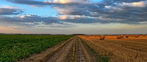 Meghosszabbíthatják az agrár-környezetgazdálkodási kifizetés (AKG15) és az ökológiai gazdálkodásra áttérés, fenntartás (ÖKO15) időszakát 