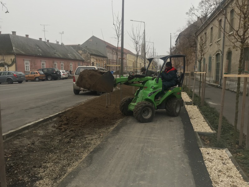 Karácsonyra befejeződik az újrafásítási program első üteme zöldfelületének parkosítása – Egyelőre erre volt forrás