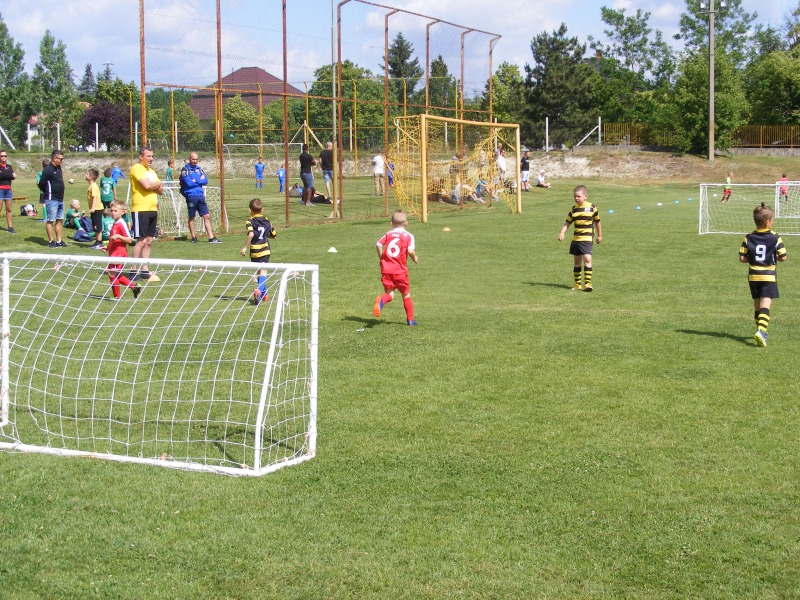 A Déli Régió Gyermekliga U7-es bajnoka a Méhecskék SE csapata