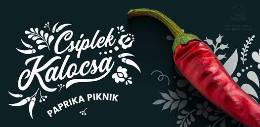 Paprikafesztivál helyett háromnapos Paprika Piknik a Halott Pénzzel – A kalocsai repülőtér ad helyet a koncertnek