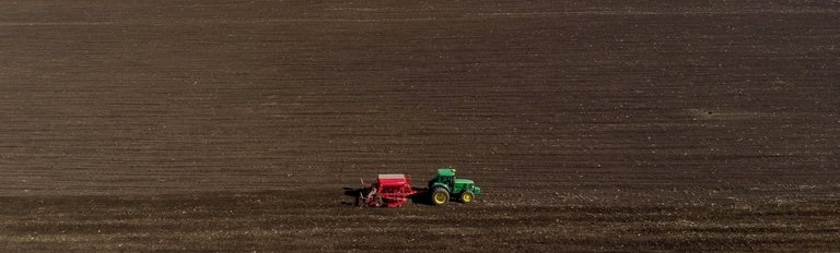 Tovább emelkedett a termőföld ára 2020-ban - Egy hektár átlagosan 1,7 millióért cserélt gazdát