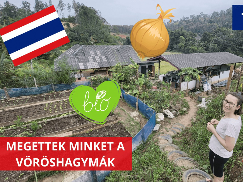 Milyen az élet egy thai biofarmon?