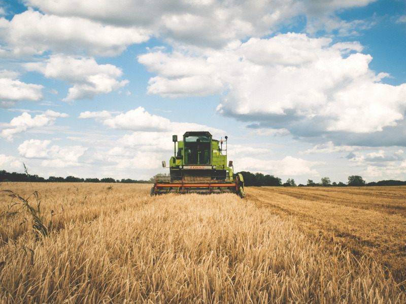 Mini Agrár Expo nyílik vasárnap Kalocsán