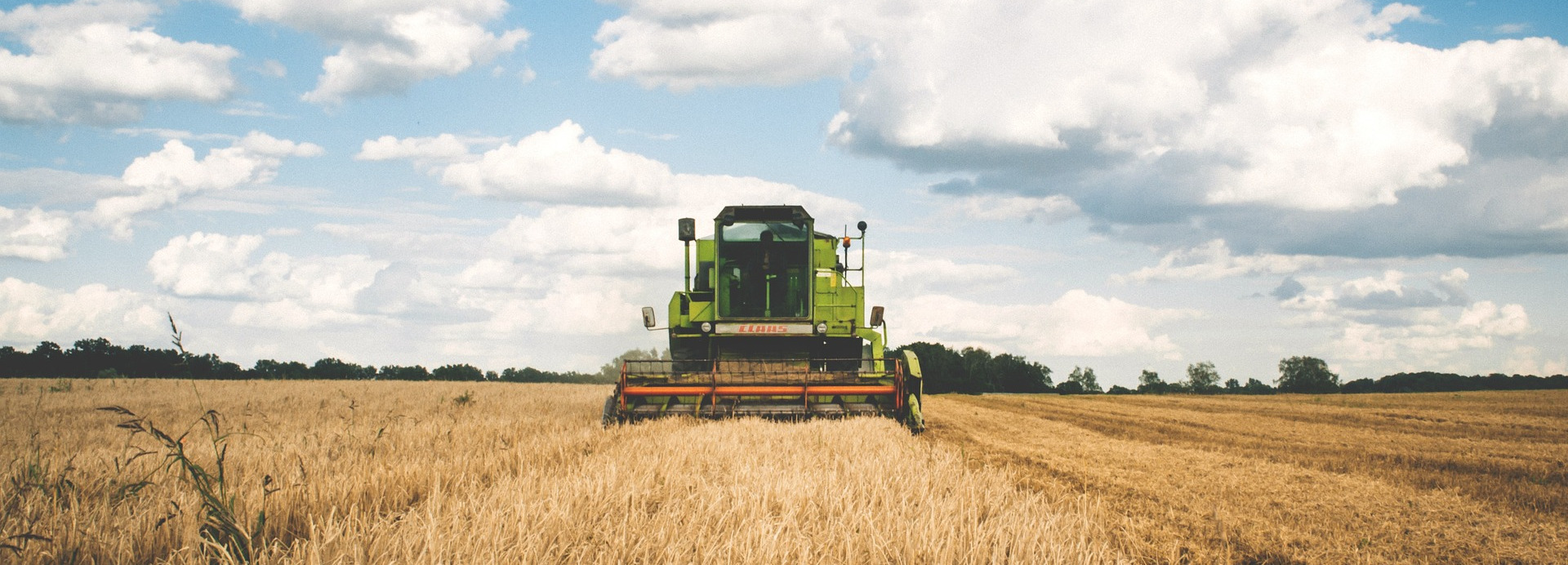 Mini Agrár Expo nyílik vasárnap Kalocsán