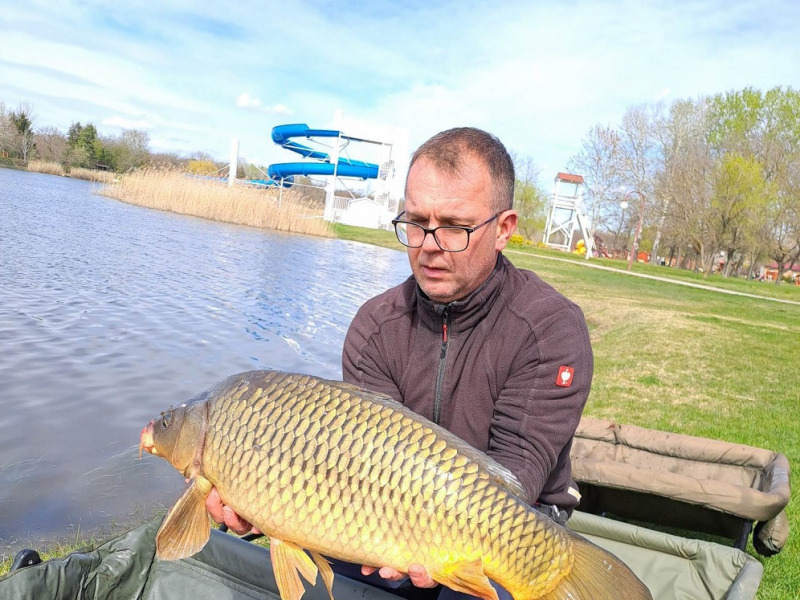 Chippel megjelölt 5-10 kilogrammos pontyokat telepítettek a Szelidi-tóba 