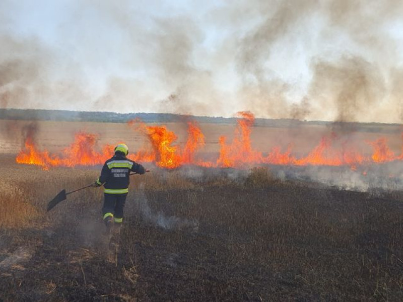 Szakmáron égő tarlóval küzdenek a lánglovagok – Három járás tűzoltóit vetették be