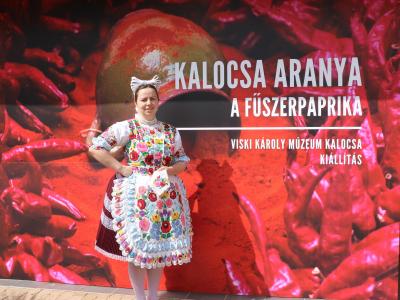 Ünnepélyesen megnyitották a Kalocsa Aranya – a fűszerpaprika című állandó kiállítást