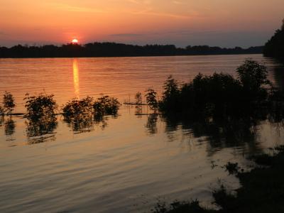 Kalocsánál a Duna várhatóan vasárnap tetőzik