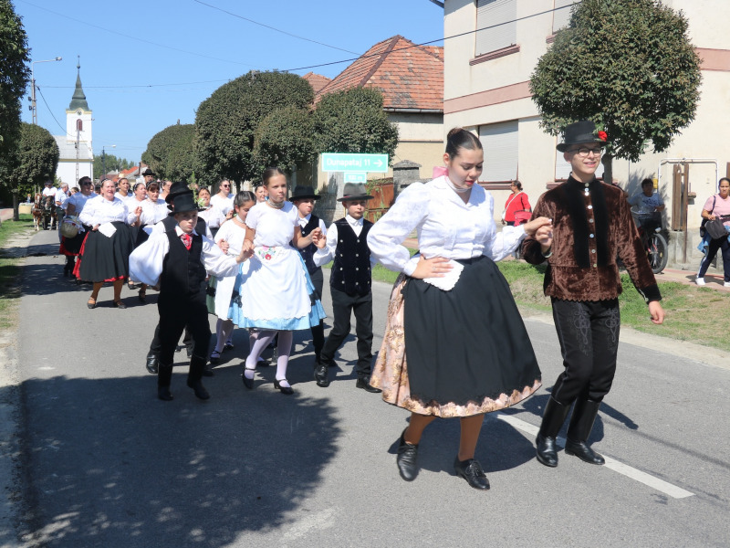 Folklórgyöngyszemek fergeteges lovas, fogatos szüreti felvonulása Dunaszentbenedeken