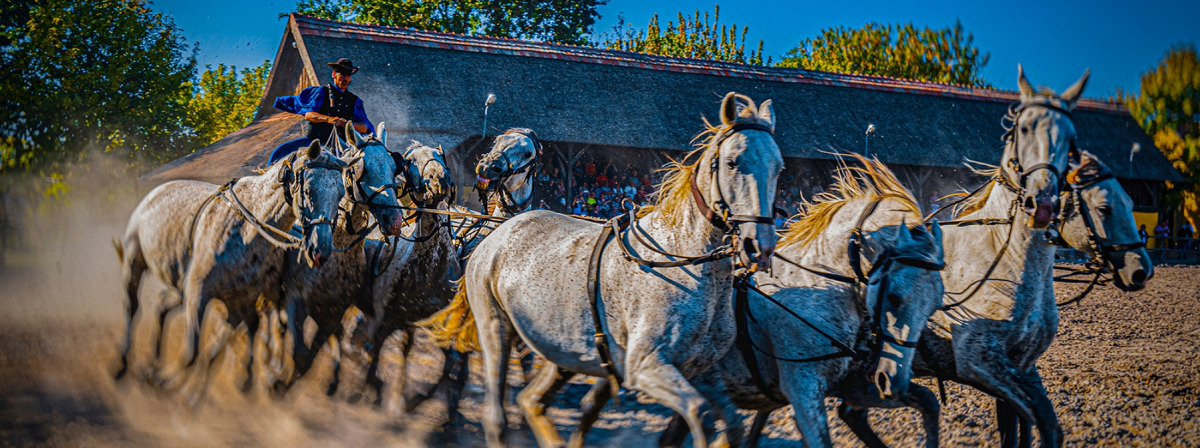 Kongóban és Angolában is megcsodálhatják a kalocsai futógráfus, Török „Töce” Tibor képeit