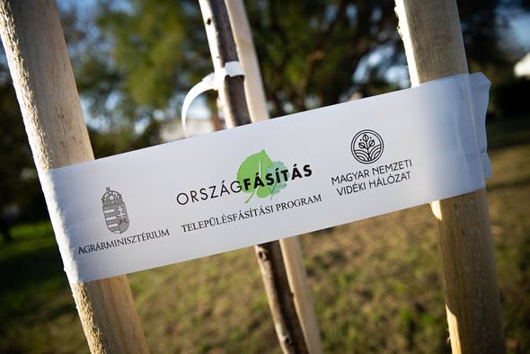 Húsz gömbszivarfa került a földbe Dusnokon – ünnepélyes faültetés a Barai szabadidőparkban