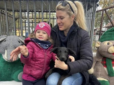 Nyílt nap a Kalocsai Kutyamenhelyen – találkozz a négylábúakkal és segíts egy jó ügyet!