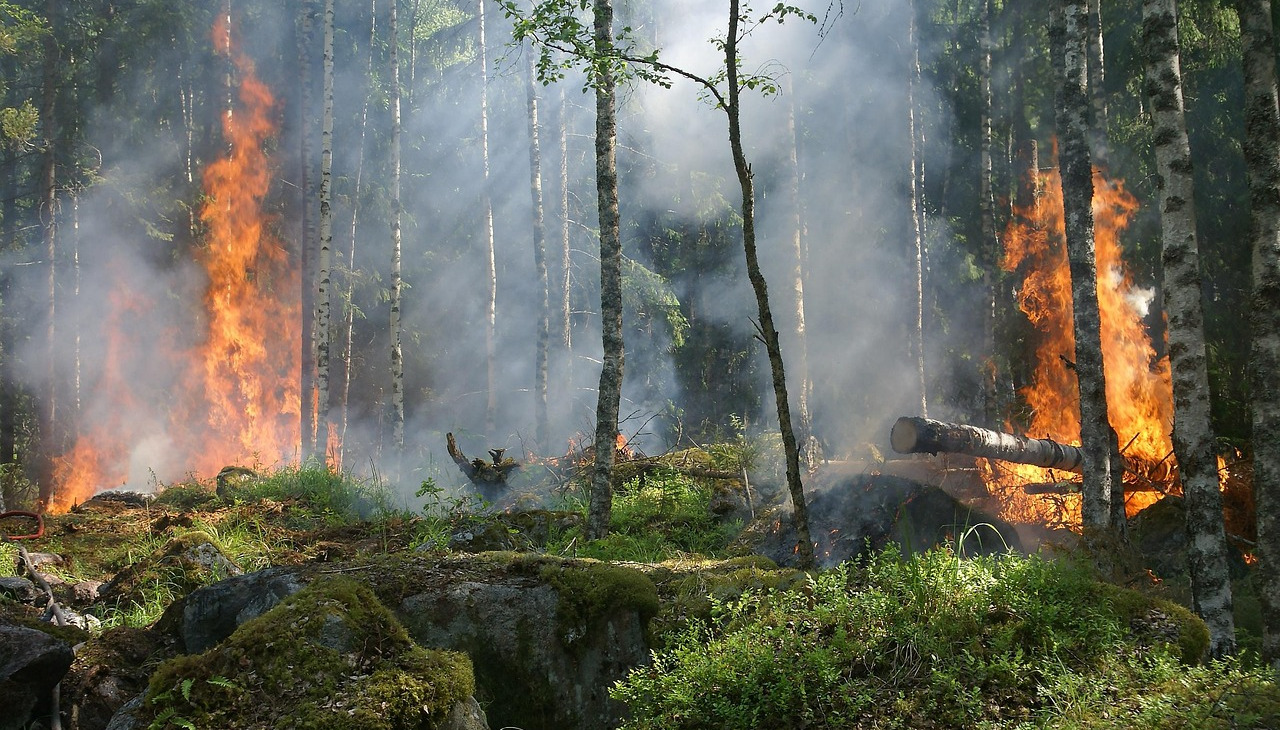 Hiába esett, marad a tűzgyújtási tilalom a vármegyében